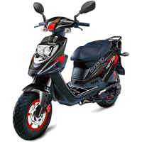 pgo-big-max-50-rs