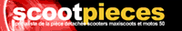 Visiter le site