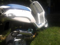 Piaggio Typhoon White Pearly (perso-20856-1872c13d)