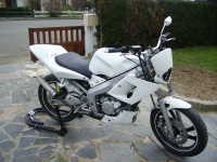 Yamaha TZR 50 R6 White Power (perso-8977-09_03_09_21_11_55)
