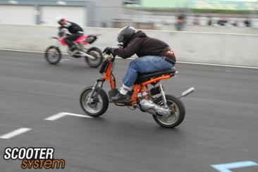 IMG_7951.jpg