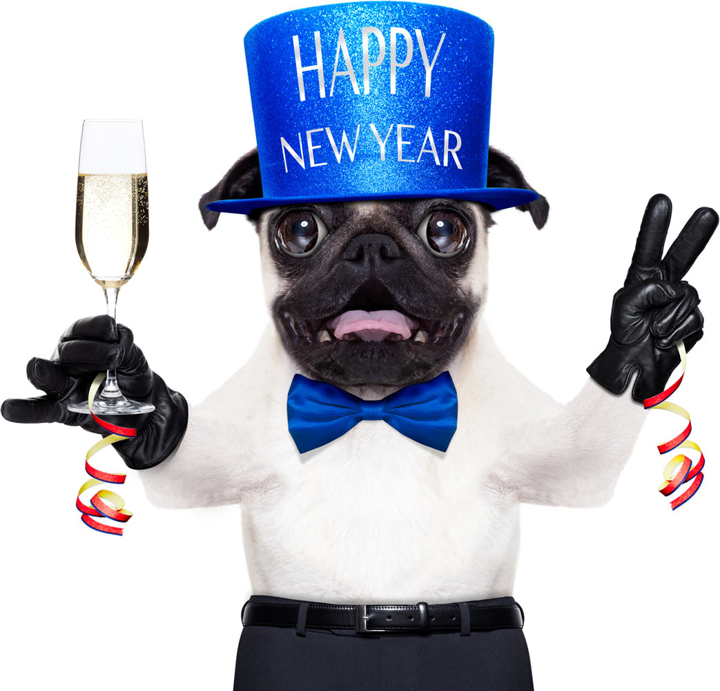 Bonne et heureuse année 2016, nos meilleurs voeux
