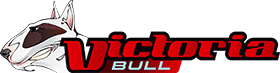 Logo Victoria Bull