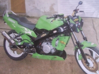 Yamaha TZR 50 Green Peace (perso-11764-09_03_12_10_31_23)