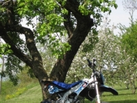Derbi Senda SM DRD Racing Fayer Horse74 (perso-13267-09_06_05_21_15_38)