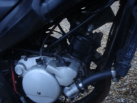 Yamaha TZR 50 Top Bike (perso-15456-10_01_03_18_04_04)