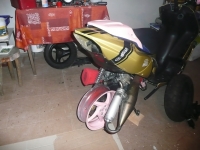 Avatar du Peugeot Speedfight 2 Gold and Pink