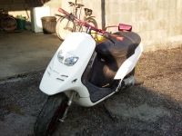 Piaggio Typhoon Naughty Project Evo II (perso-15802-10_02_05_00_37_08)