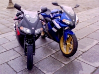 Yamaha TZR 50 Golden Blue (perso-16117-10_03_01_19_04_38)