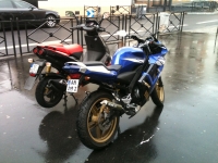 Yamaha TZR 50 Golden Blue (perso-16117-10_06_02_13_25_30)