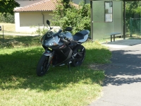 Yamaha TZR 50 Taz Rider (perso-17245-10_08_08_23_51_32)