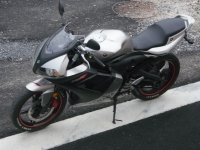Yamaha TZR 50 Taz Rider (perso-17245-10_10_01_19_05_31)