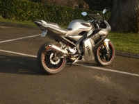Yamaha TZR 50 Taz Rider (perso-17245-11_03_14_19_40_36)
