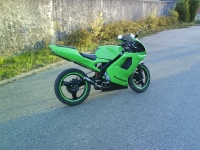 Aprilia RS 50 Green Racer (perso-1747-07_11_11_21_38_16)