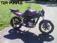 Yamaha TZR 50 Purple Dragon (perso-17635-10_08_29_19_22_43)