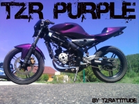Avatar du Yamaha TZR 50 Purple Dragon