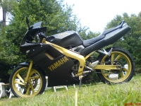 Avatar du Yamaha TZR 50 Golden Top Perf