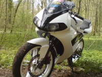 Yamaha TZR 50 White and black (perso-5696-08_04_28_22_22_59)