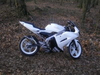 Yamaha TZR 50 White and black (perso-5696-08_04_28_22_23_31)