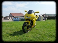 Aprilia RS 50 Yellow Design (perso-6173-09_05_15_18_06_50)