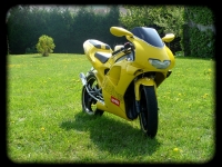 Aprilia RS 50 Yellow Design (perso-6173-09_05_15_18_13_26)