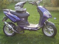 Avatar du CPI Oliver Victoria Bull