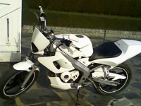Avatar du Yamaha TZR 50 R6 White Power