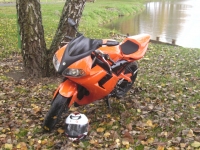 Yamaha TZR 50 Halloween Project (perso-9731-08_11_19_20_39_11)