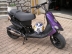 Gilera Stalker Stage6 All Day's