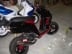 Piaggio Typhoon Black And Red