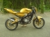 Yamaha TZR 50 Gold