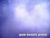 Vidéo du Ghost Stunt Krew en session stunt