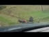 Vidéo de 2 mecs bourrés qui roulent en scooter