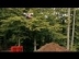 Vidéo d'un saut extrême en MTB par Travis Pastrana