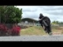 Vidéo de stunt, Asphalt Assault Freestyle Stunts